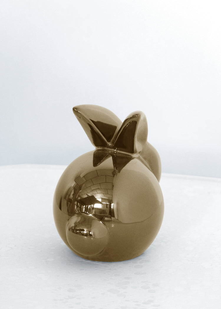 Lapin Précieux Modèle Moyen