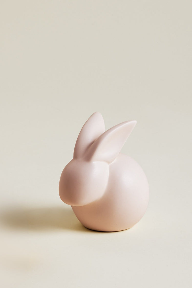 Lapin Modèle Moyen