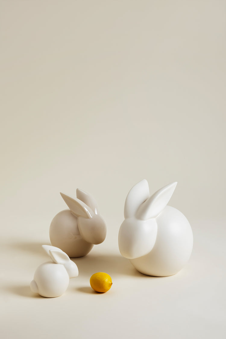 Lapin Modèle Moyen