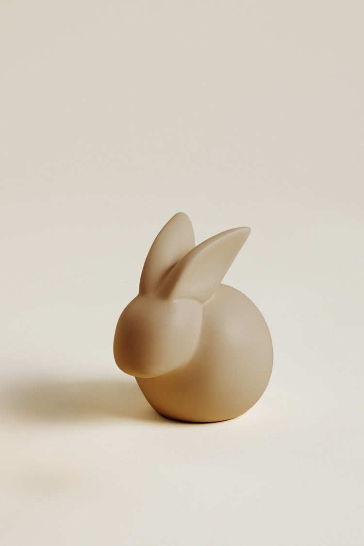 Lapin Modèle Moyen