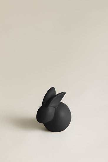 Lapin_MM_Ebene_mat